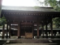 Hinokuma-kunikakasu-jingu-hinokuma (10).jpg