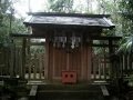 Hinokuma-kunikakasu-jingu-hinokuma (4).jpg