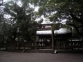 Hinokuma-kunikakasu-jingu-hinokuma (9).jpg