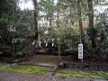 Hinokuma-kunikakasu-jingu-kunikakasu (12).jpg