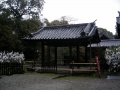Hinokuma-kunikakasu-jingu (5).jpg