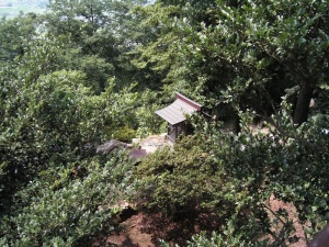 Karasawayama-jinja 012.jpg