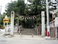Sengen-jinja-kai (12).jpg