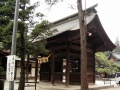 Sengen-jinja-kai (3).jpg