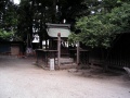Sengen-jinja-kai (8).jpg