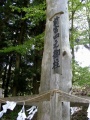 Suwa-taisha-kamisha-maemiya (15).jpg