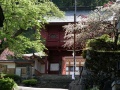Suwa-taisha-kamisha-motomiya (26).jpg