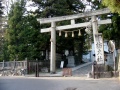 Suwa-taisha-shimosha-harumiya (14).jpg