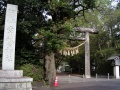 Tokiwa-jinja (6).jpg