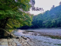 内宮・五十鈴川御手洗場 (3).jpg