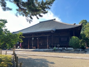 大和西大寺-15.jpg