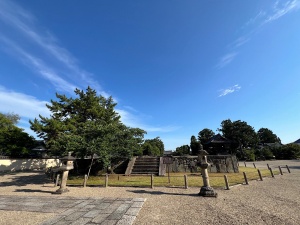 大和西大寺-18.jpg