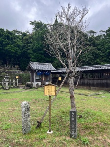 平戸亀岡神社-18.jpg