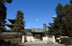 斑鳩法輪寺 (1).jpg