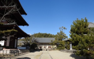 斑鳩法輪寺 (2).jpg