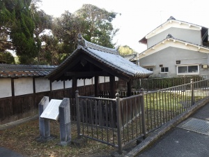 斑鳩法輪寺 (9).jpg
