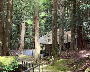 熊野阿弥陀寺-15.jpg