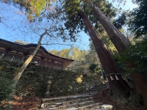 百済寺・3本堂-09.jpg