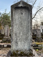 船岡山官軍墓地・5諸藩墓地・1北東2墓碑06藤井織之助墓.jpg