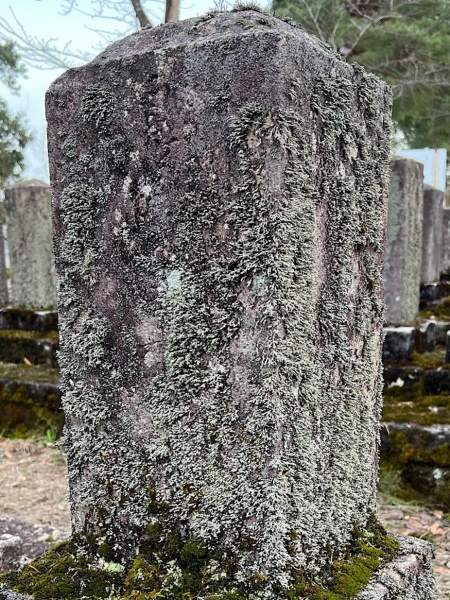 ファイル:船岡山官軍墓地・5諸藩墓地・3南東2墓碑02.jpg