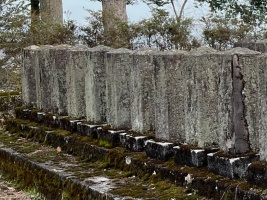 船岡山官軍墓地・6鹿児島藩墓地・7第3東2墓碑05.jpg