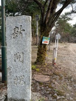 船岡山官軍墓地・8広場03.jpg