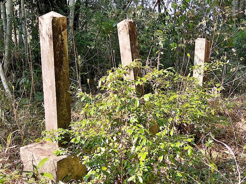 ファイル:谷坂官軍墓地・墓碑・西04.jpg