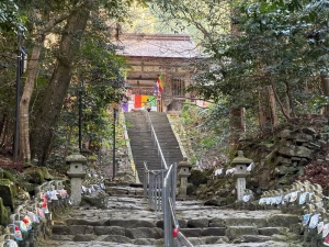 金剛輪寺・3本堂-15.jpg