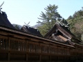 Izumo-taisha-honsha04-tamagakinai (4).jpg