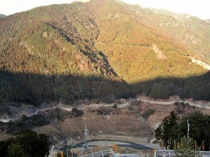 Niu-kawakami-jinja-kamisha (6).jpg