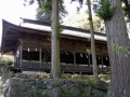 Suwa-taisha-kamisha-maemiya (20).jpg